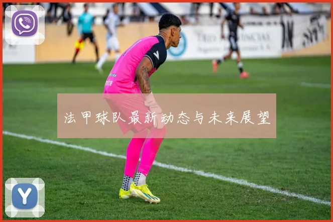 法甲球队最新动态与未来展望