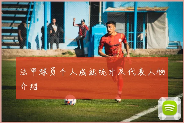 法甲球员个人成就统计及代表人物介绍